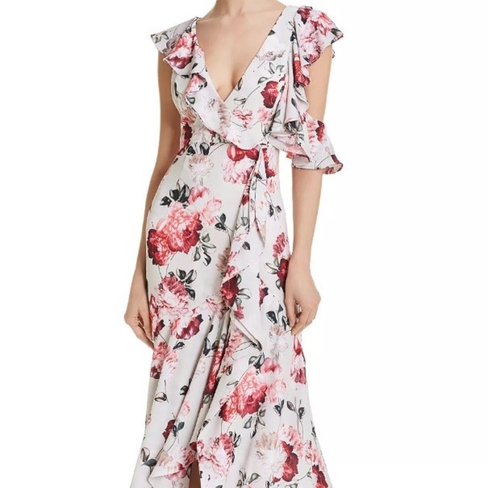 Frame and Partners Crepe Designer Dress